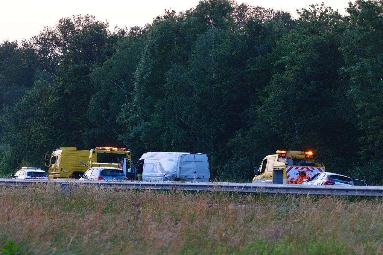 Foto: Sander van Gils/SQ Vision Mediaprodukties.