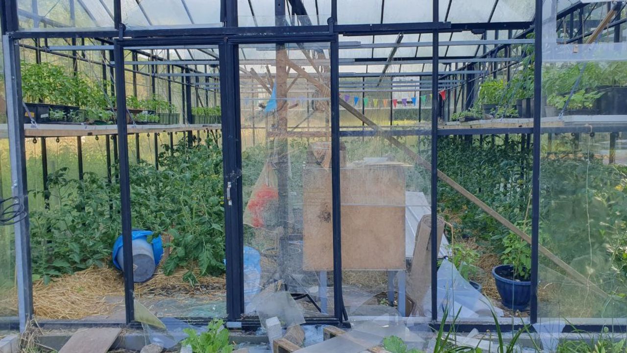 De ruiten van de kassen zijn vernield (foto: Phood Farm).