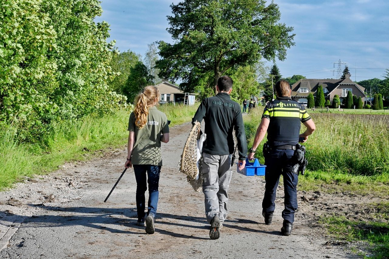 Op zoek naar de serval (foto: Toby de Kort/SQ Vision).