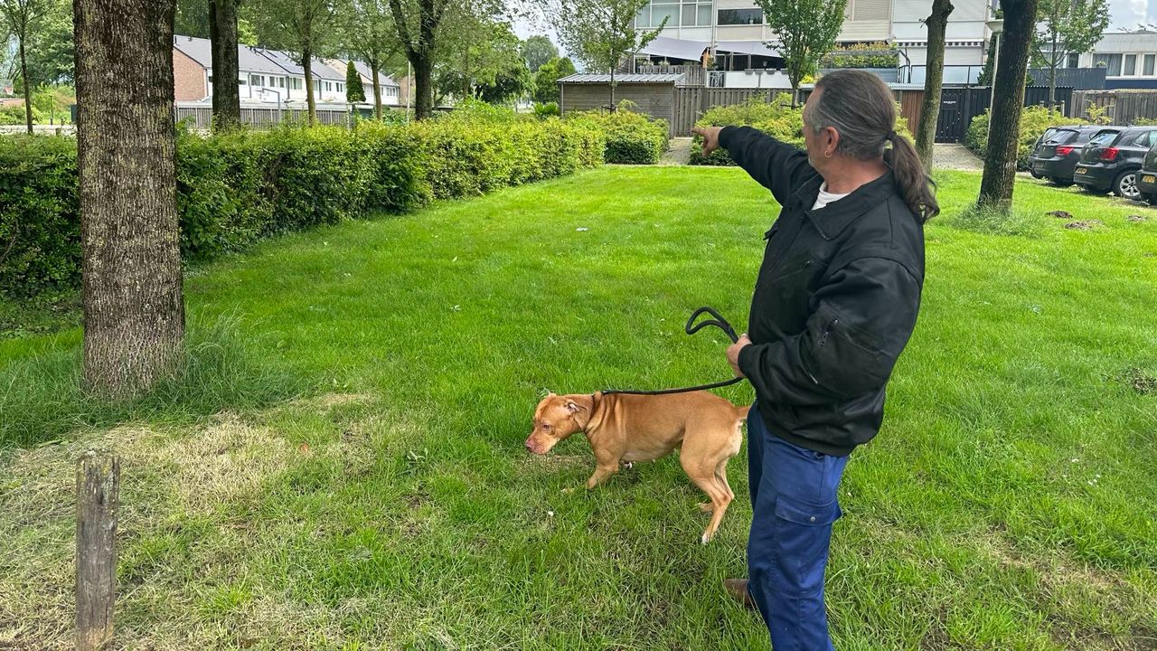 José wijst aan waar hij de inbrekers zag (foto: Floortje Steigenga).