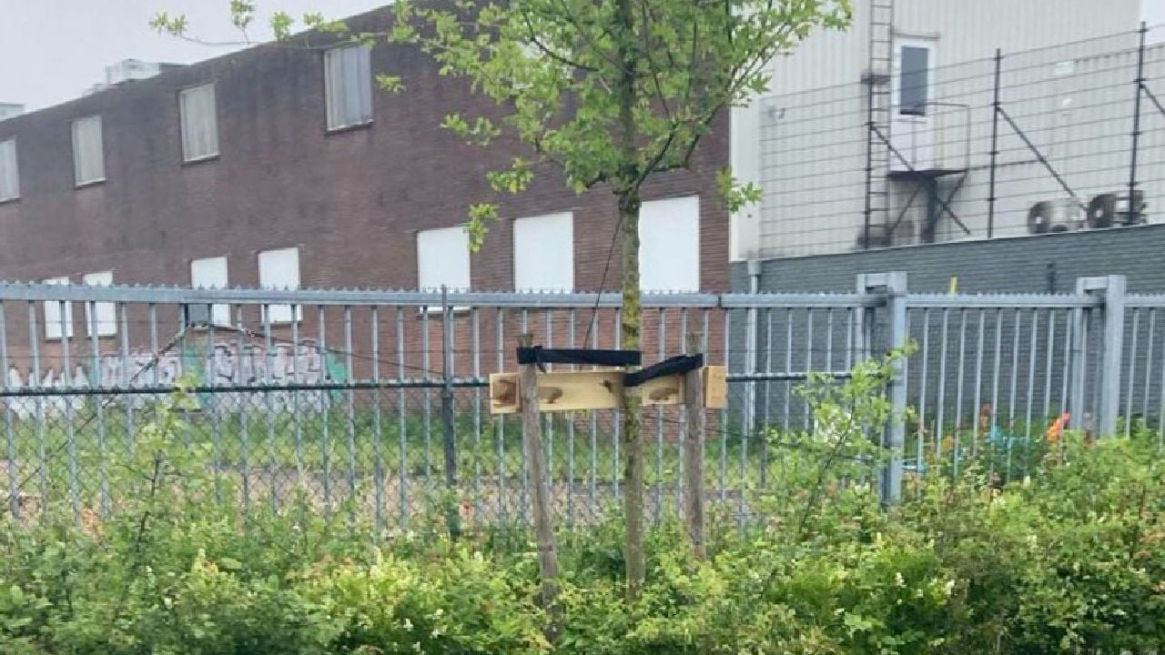Het monument is verdwenen (foto: Partij voor de Dieren).