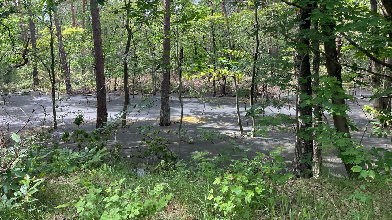 De grote waterplassen kleurden grijs door steenmeel.
