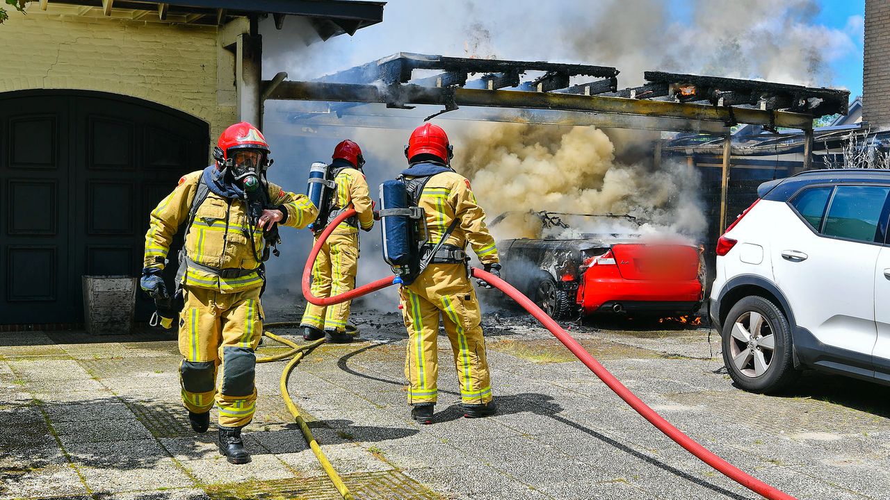 Foto: Rico Vogels/SQ Vison.