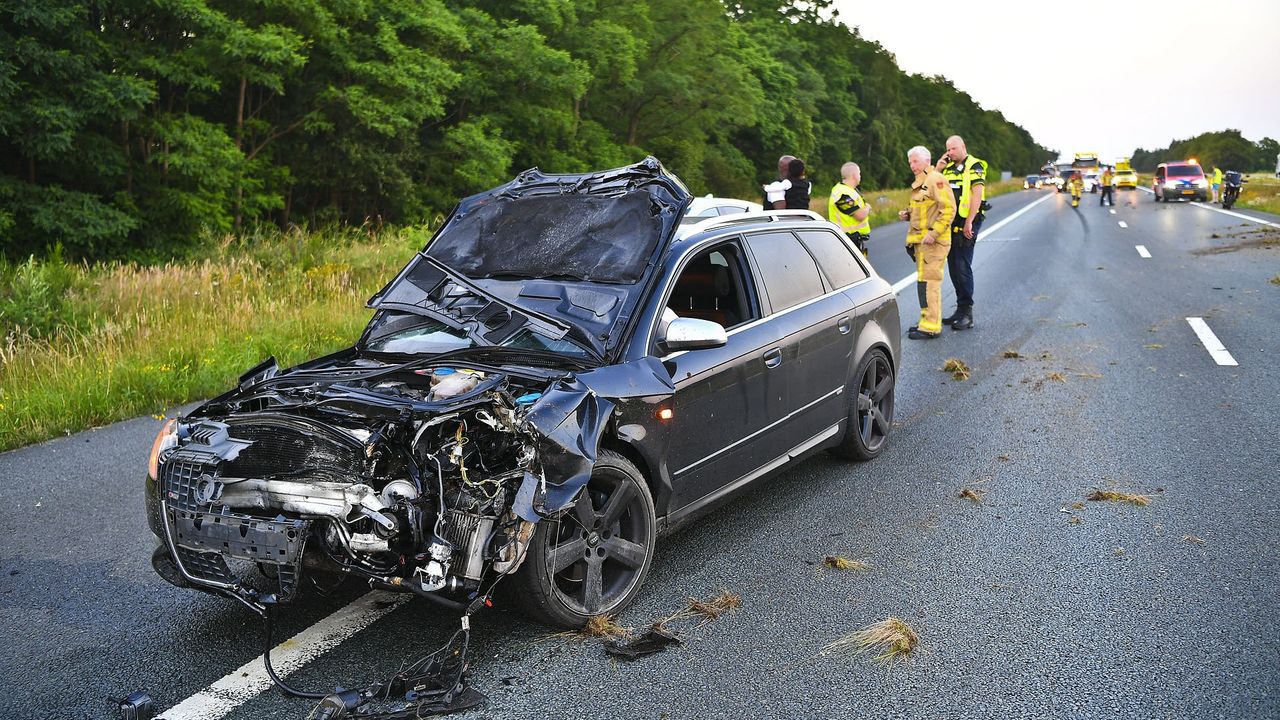 Foto: Rico Vogels/SQ Vision.