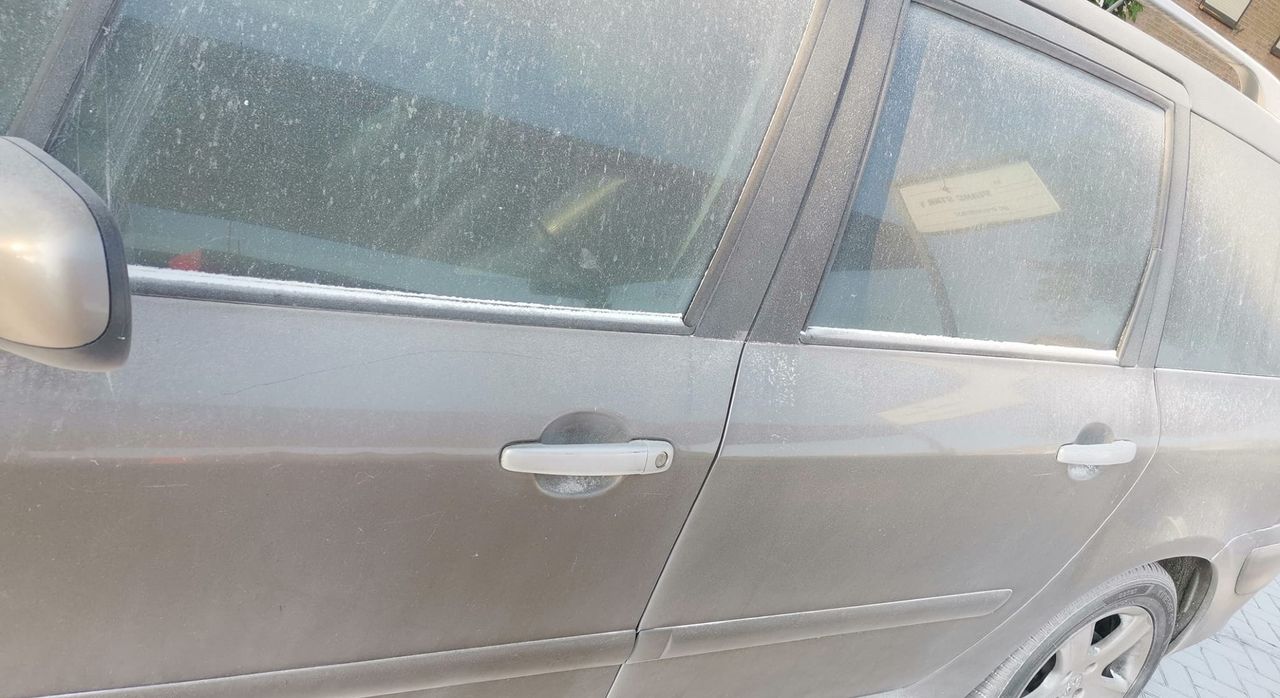 Het witte poeder is goed te zien (foto: Marjolein Bindels).