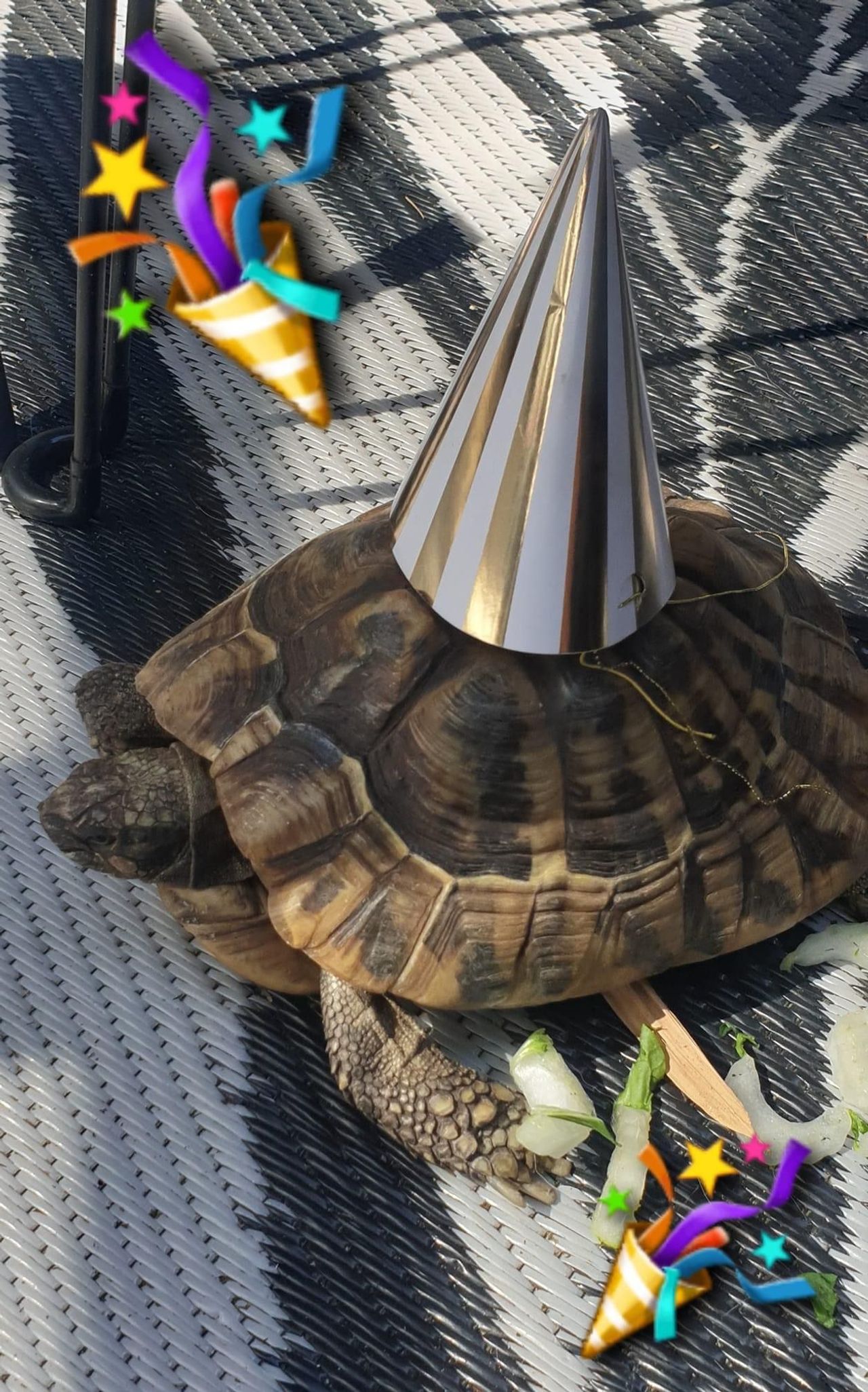 De leeftijd is onbekend, de verjaardag wordt wel gevierd. 