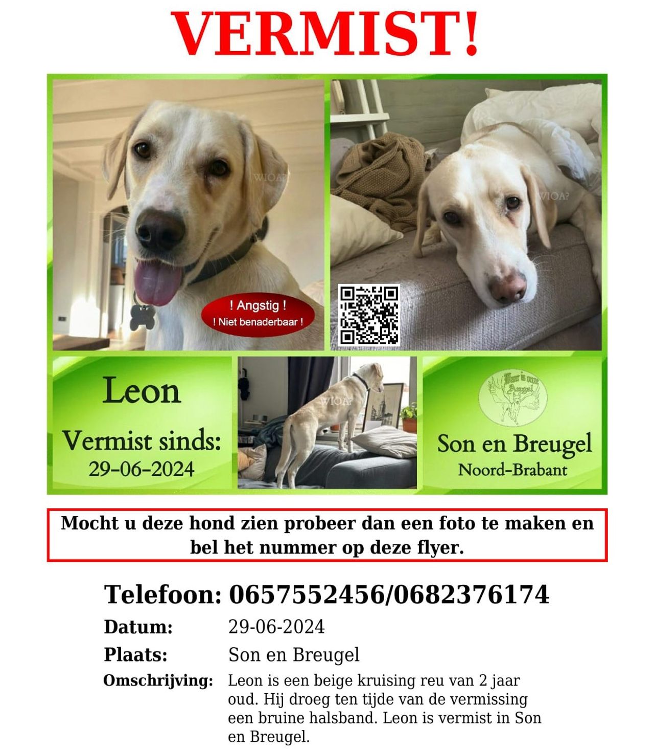 Leon is voor het laatst gezien in Son en Breugel (eigen foto)