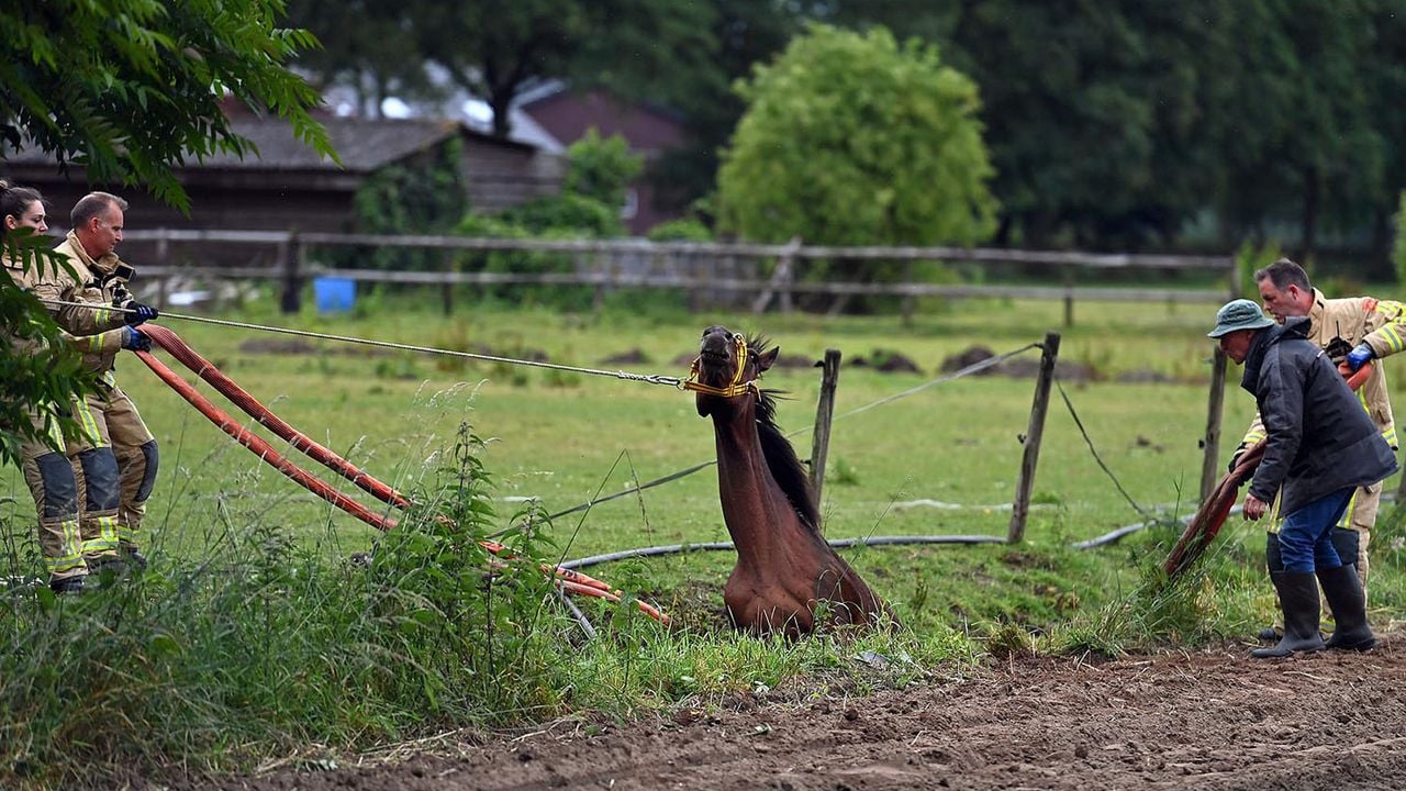 Foto: Rico Vogels/SQ Vision.