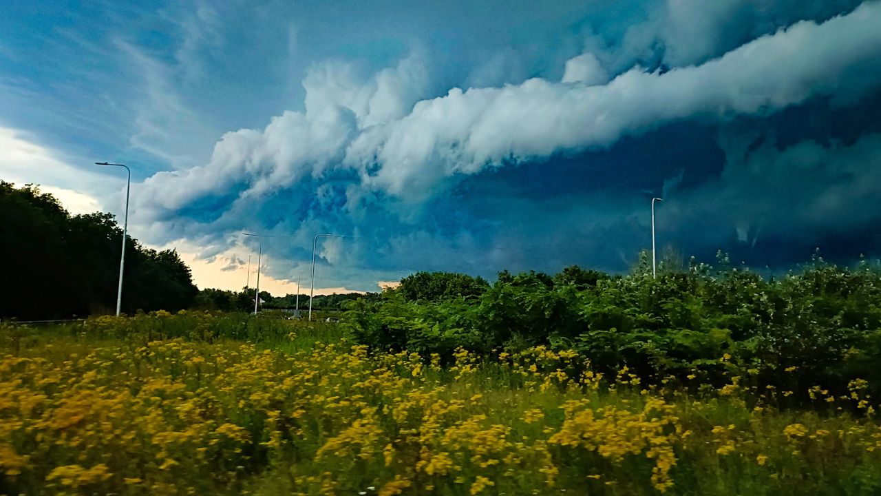 Vught, gewoon vanaf de grond (foto: Maartje Verheijen).