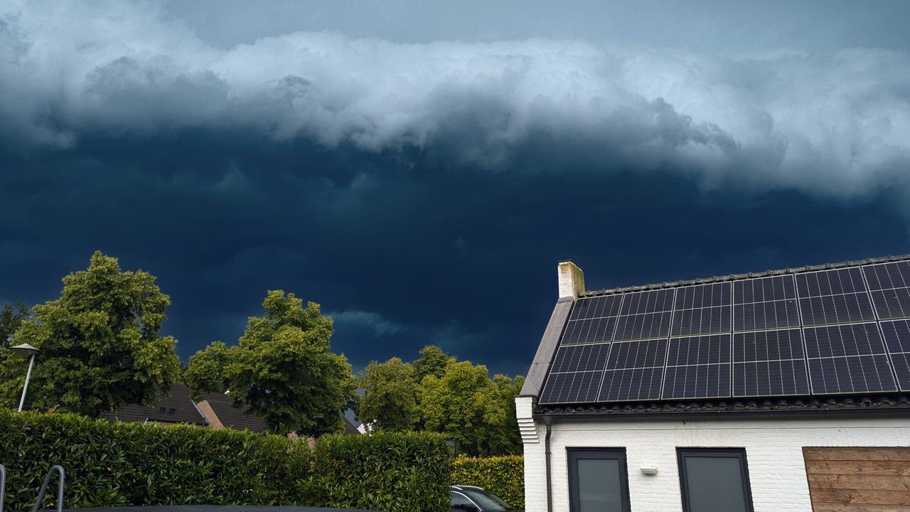 Ook in (de) Reek was het te doen (foto: Petra Bloemers).