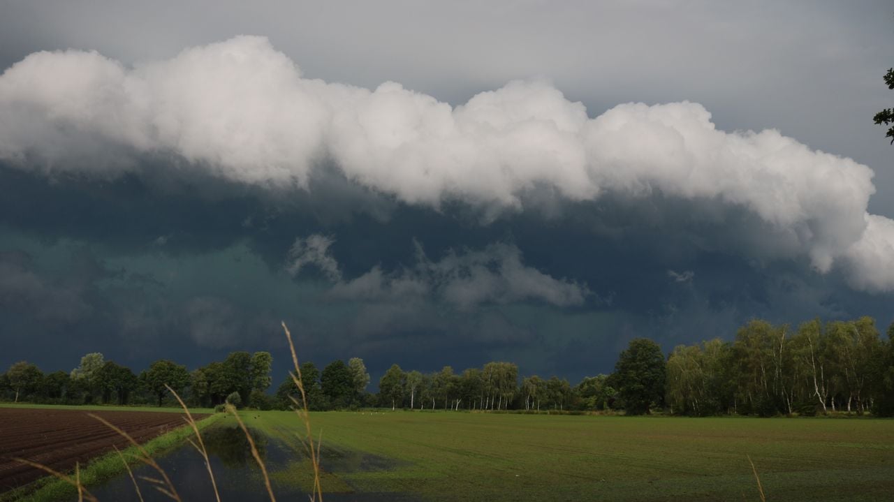 Het is geen wedstrijd, maar deze foto uit Schijndel zou wel een goeie kanshebber voor een podiumplek zijn (foto: Daniël Spierings).