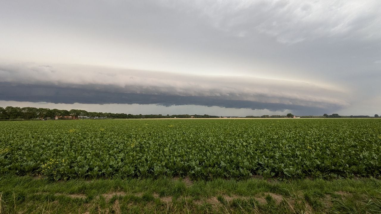 Kruisland, hier nog redelijk rustig (foto: Jac Gommeren).