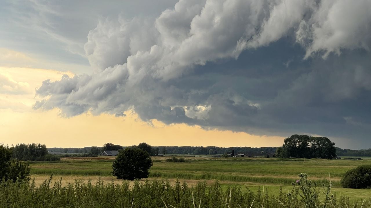 We kunnen 'iedereen' geen ongelijk geven, want zo'n dijkperspectief is niet verkeerd (foto: Claudia van den Heuvel).