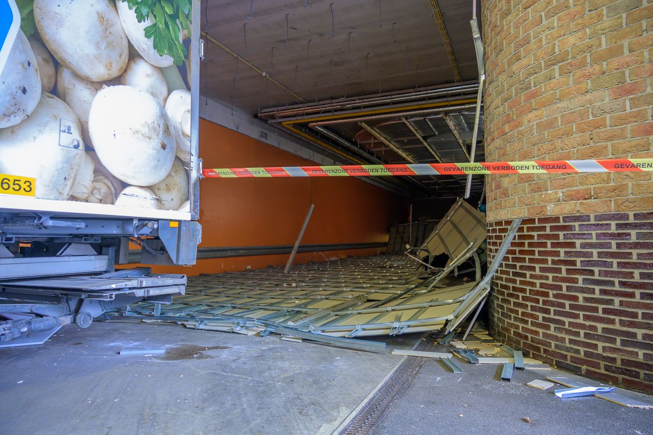 Foto: Tom van der Put/SQ Vision Mediaprodukties