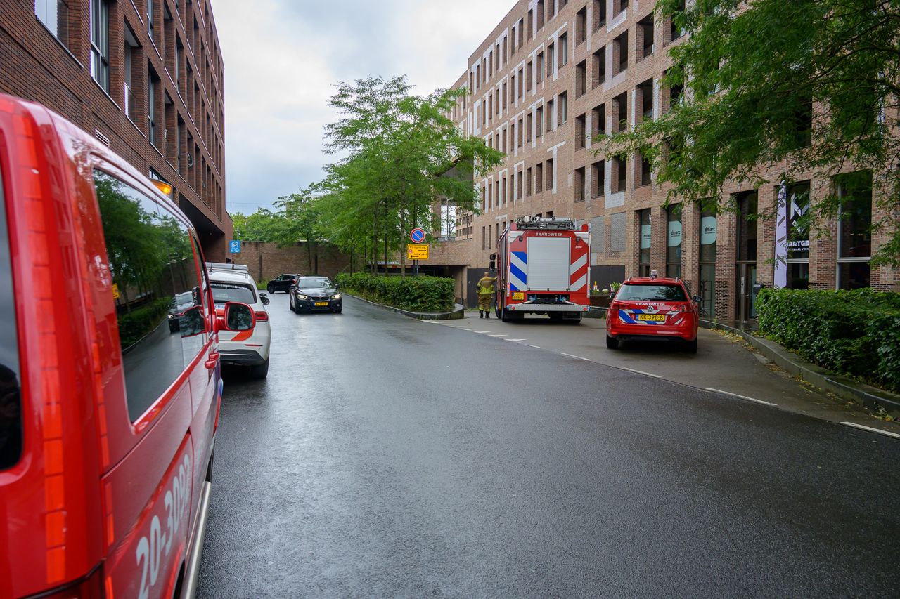 Foto: Tom van der Put/SQ Vision Mediaprodukties