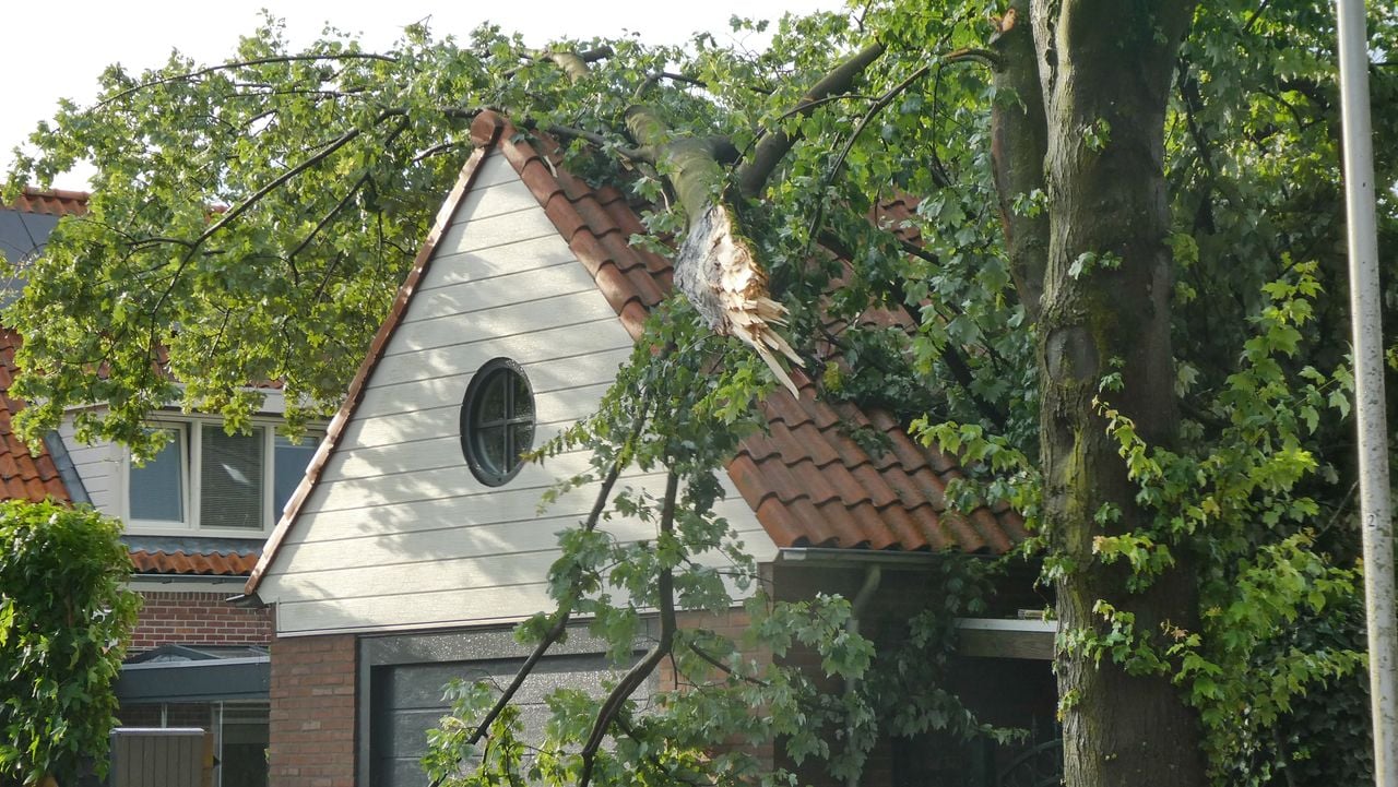 Een tak brak af in Oirschot (foto: Peter van der Schoot).