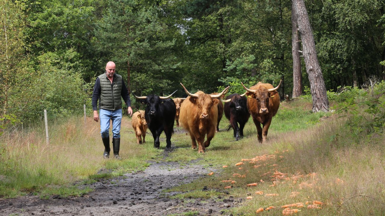 Leon met een aantal van zijn natuurrunderen in het Vresselse Bos (foto: Lobke Kapteijns). 
