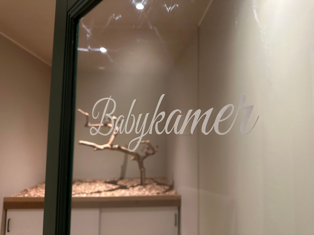 In de 'babykamer' wordt gekeken of er een match is tussen dier en mens. (foto: Floortje Steigenga)