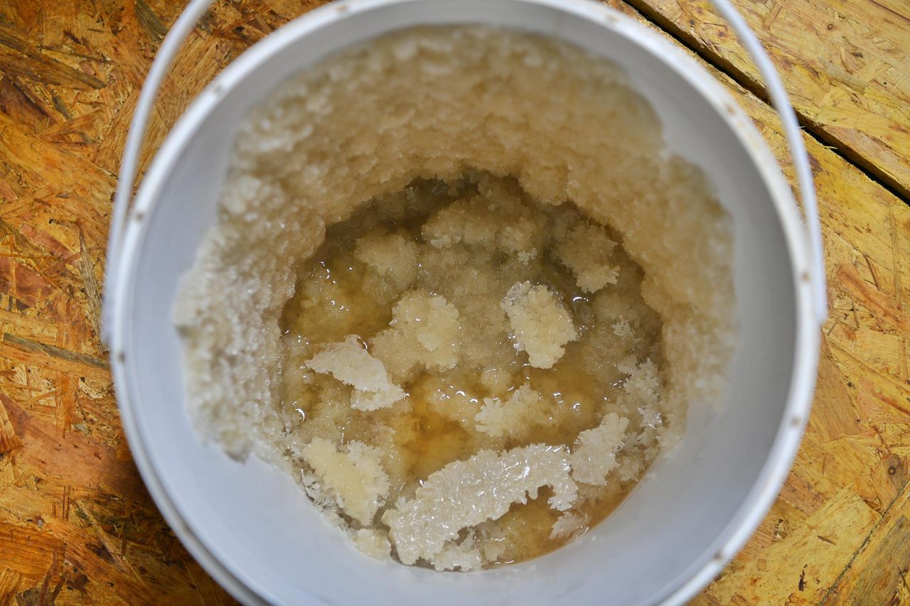 Foto: Rico Vogels/SQ Vision