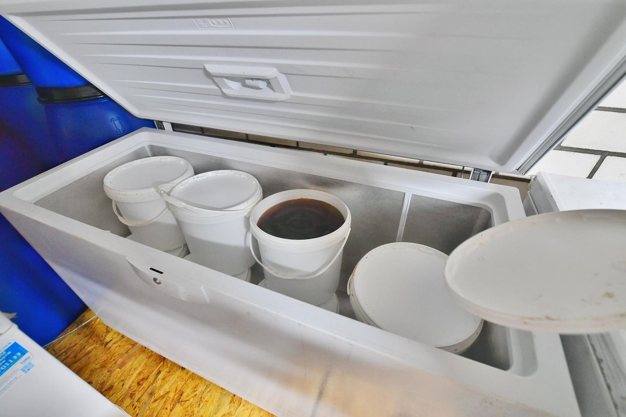 Foto: Rico Vogels/SQ Vision