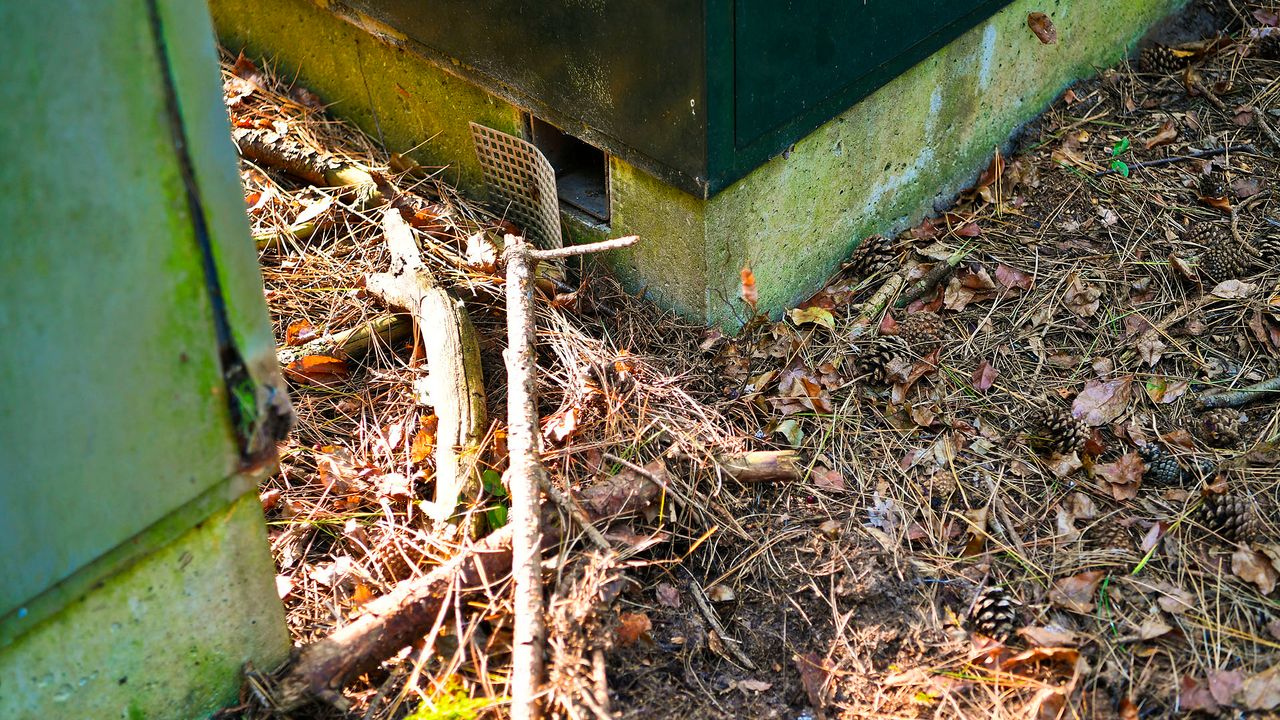 Stroom voor de kwekerij werd afgetapt uit een stroomhuisje (foto: SQ Vision/Rico Vogels).