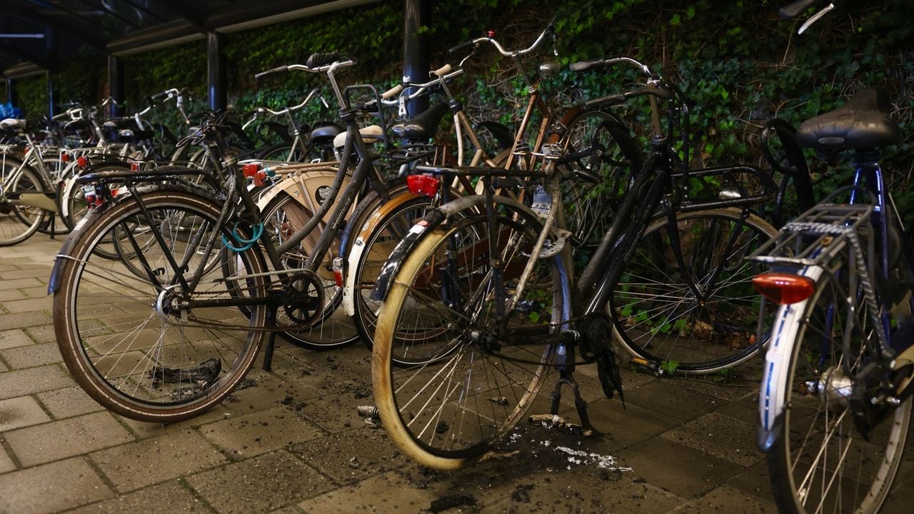 Foto: Sander van Gils / SQ Vision