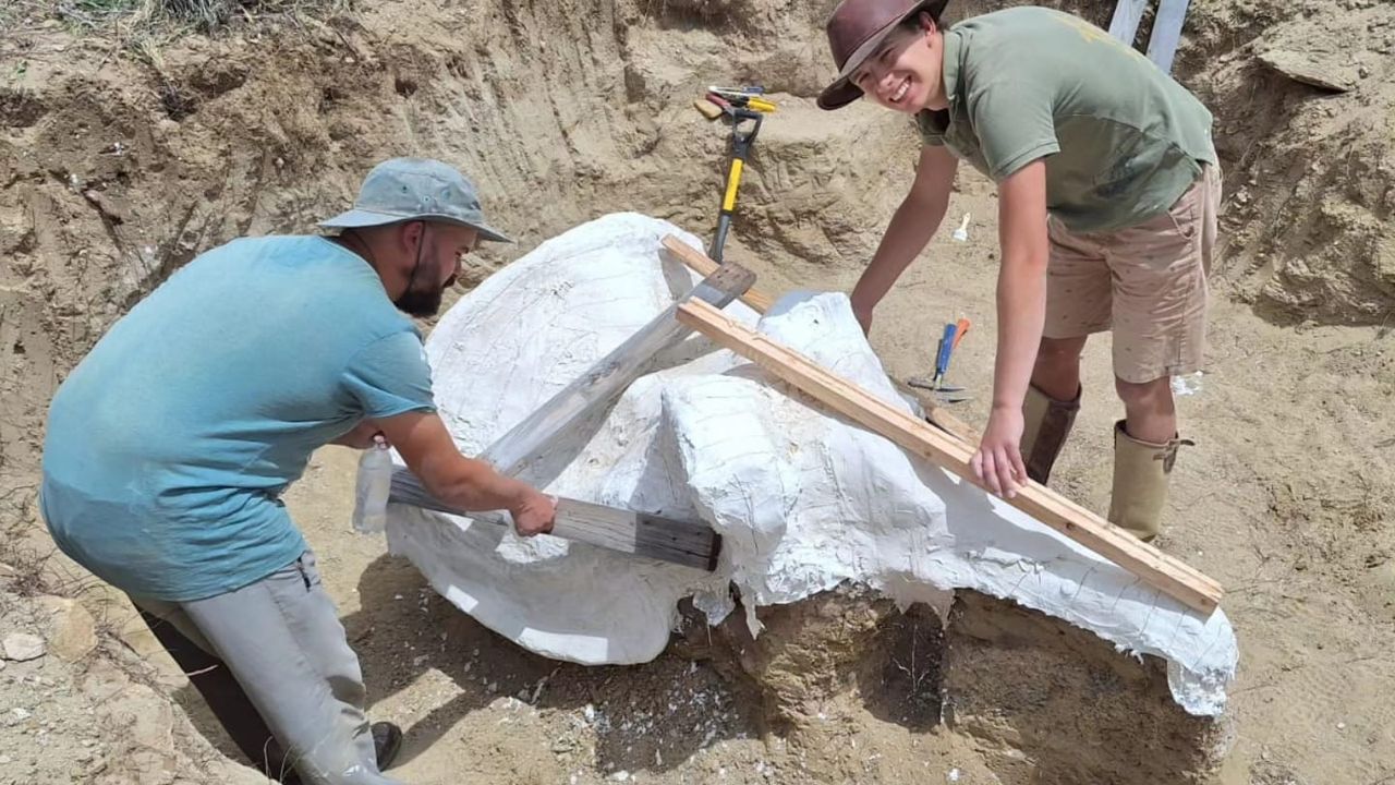 Foto: Oertijdmuseum.