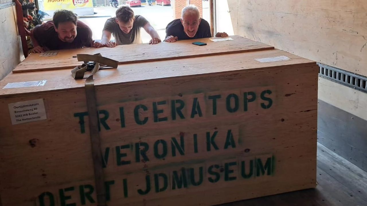 Foto: Oertijdmuseum.