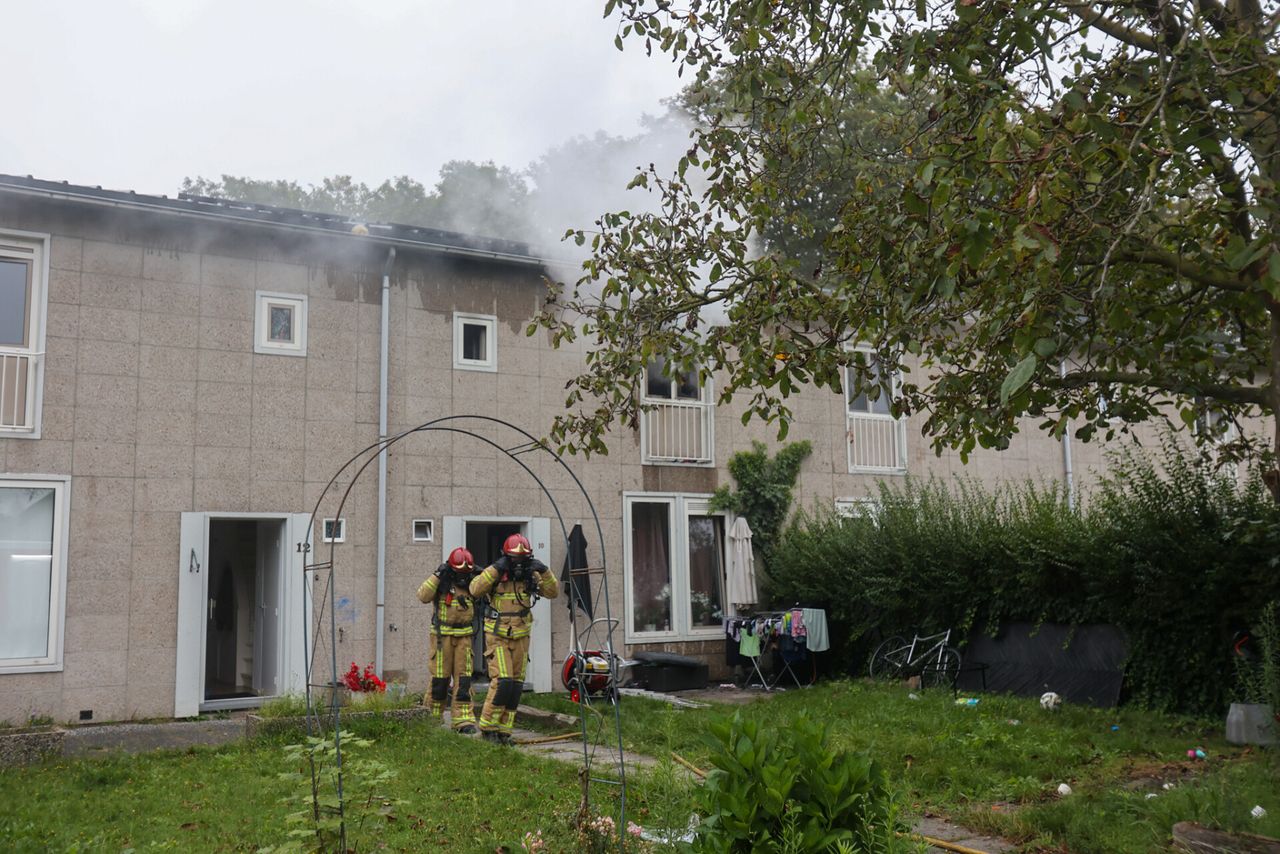 Foto: Arno van der Linden / SQ Vision