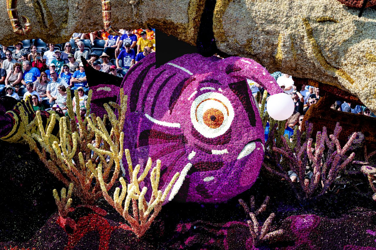 (Foto: Iwan van Dun)