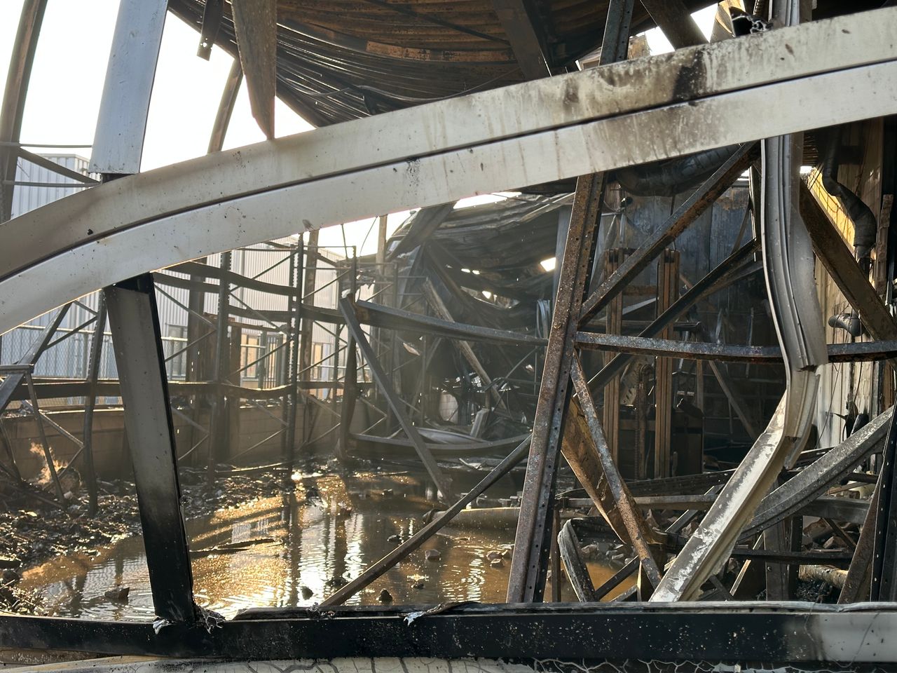 Foto: Floortje Steigenga