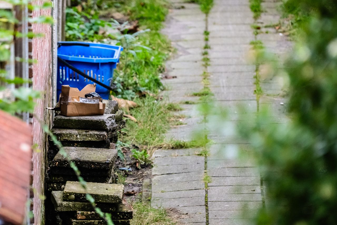 foto: Jack Brekelmans/SQ Vision