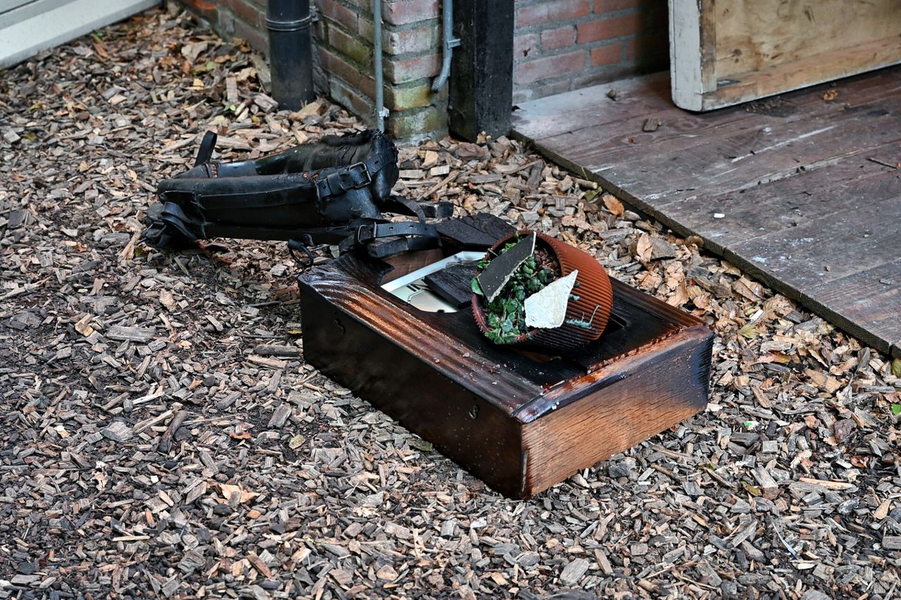 Foto: Toby de Kort/SQ Vision.