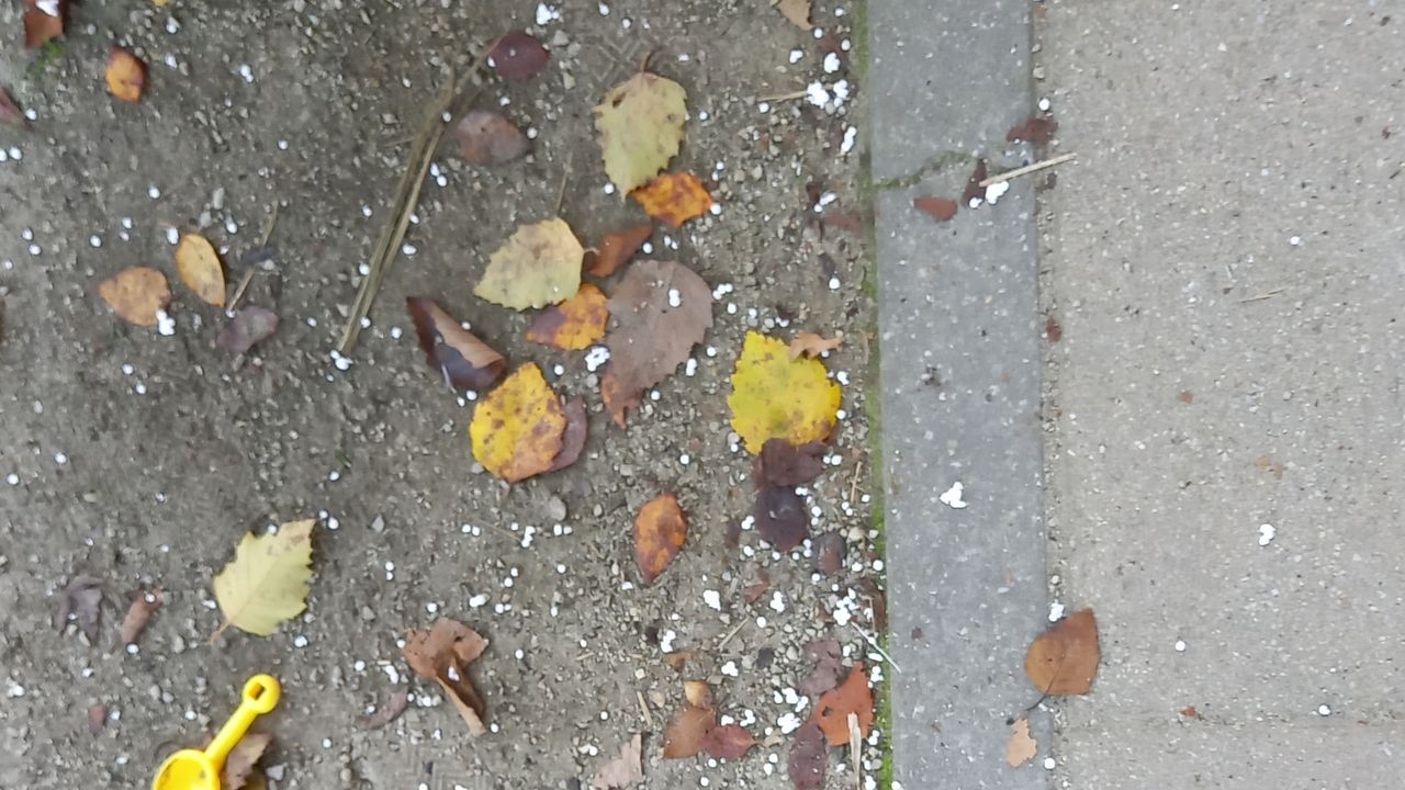 Styroporkorreltjes vallen op de grond (foto: Frank van der Meijden)