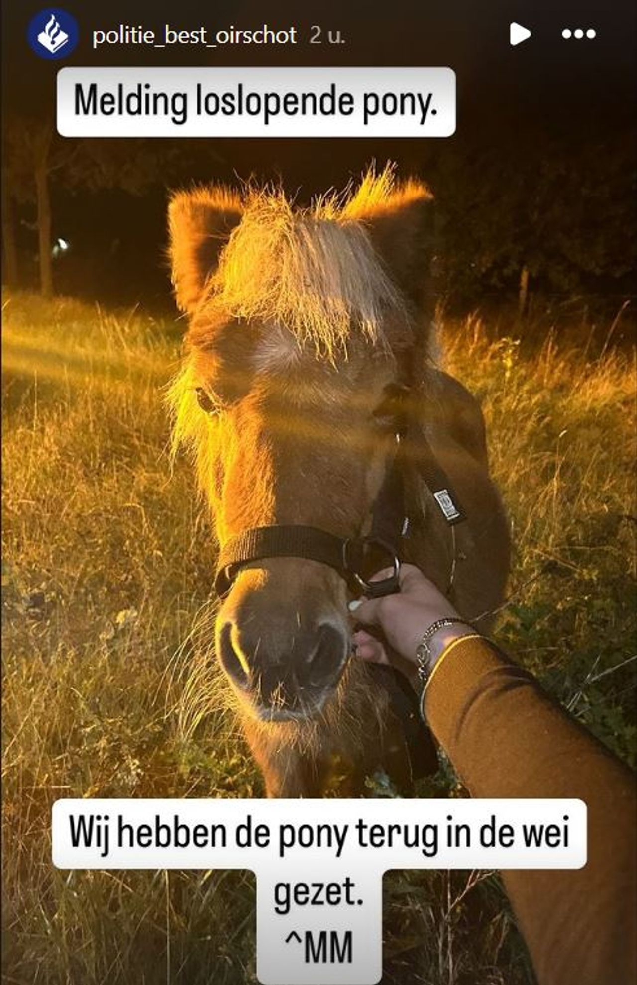 Foto: Instagram politie Best-Oirschot