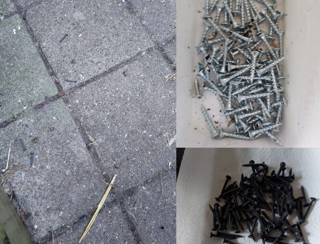 Een greep uit de vele foto's van schroeven die de dader op wandelpaden heeft verspreid (Foto: anonieme buurtbewoner).
