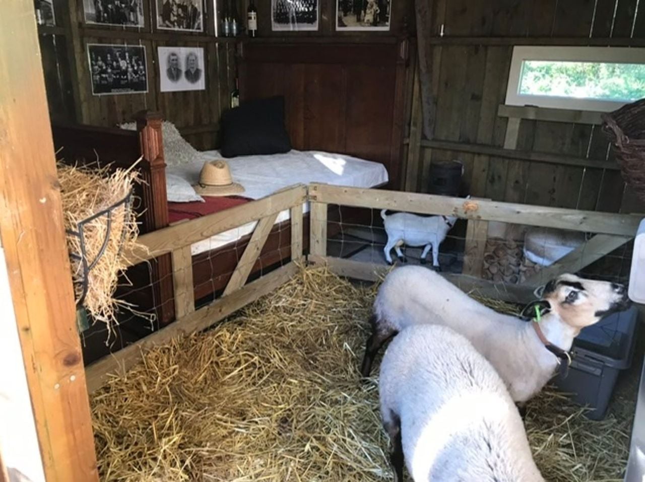 De hut van Frank in Haaren. foto: Campspace