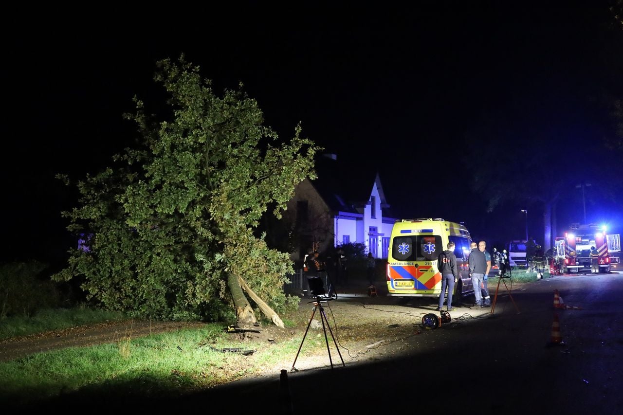 Deze boom ging door de klap tegen de vlakte (foto: Kevin Kanters / SQ Vision).