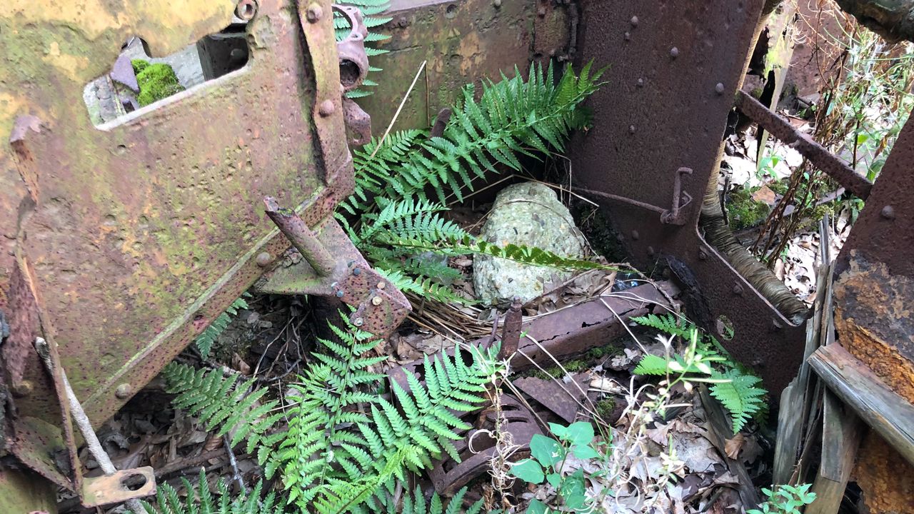 Interieur van het wrak rond 2019 (foto: Willem-Jan Joachems)