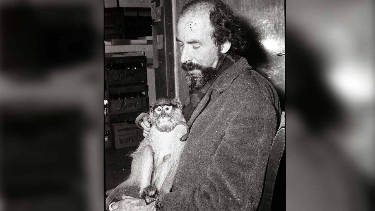 Sjef van Dun in 1965 met een van zijn geliefde apen. De dieren kwamen in 1972 allemaal om bij een brand (foto: Gust de Vries / Stichting Erfgoed Diessen).