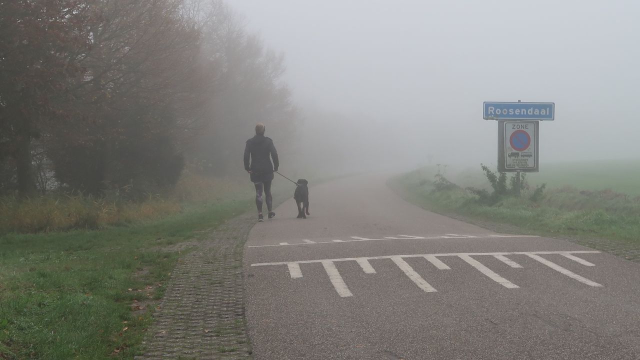 Mist in Roosendaal (foto: Henk den Ouden).
