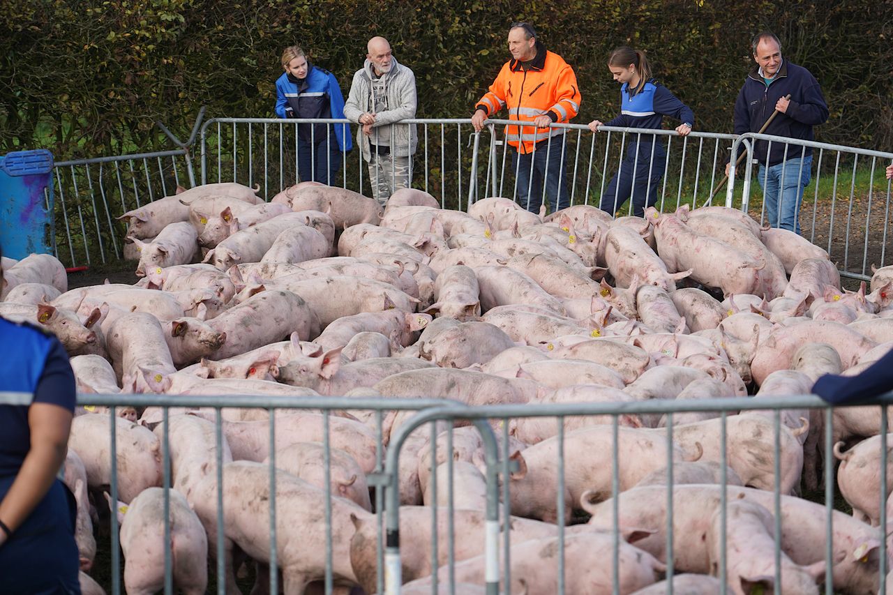 Foto: Jeroen Stuve/SQ Vision.