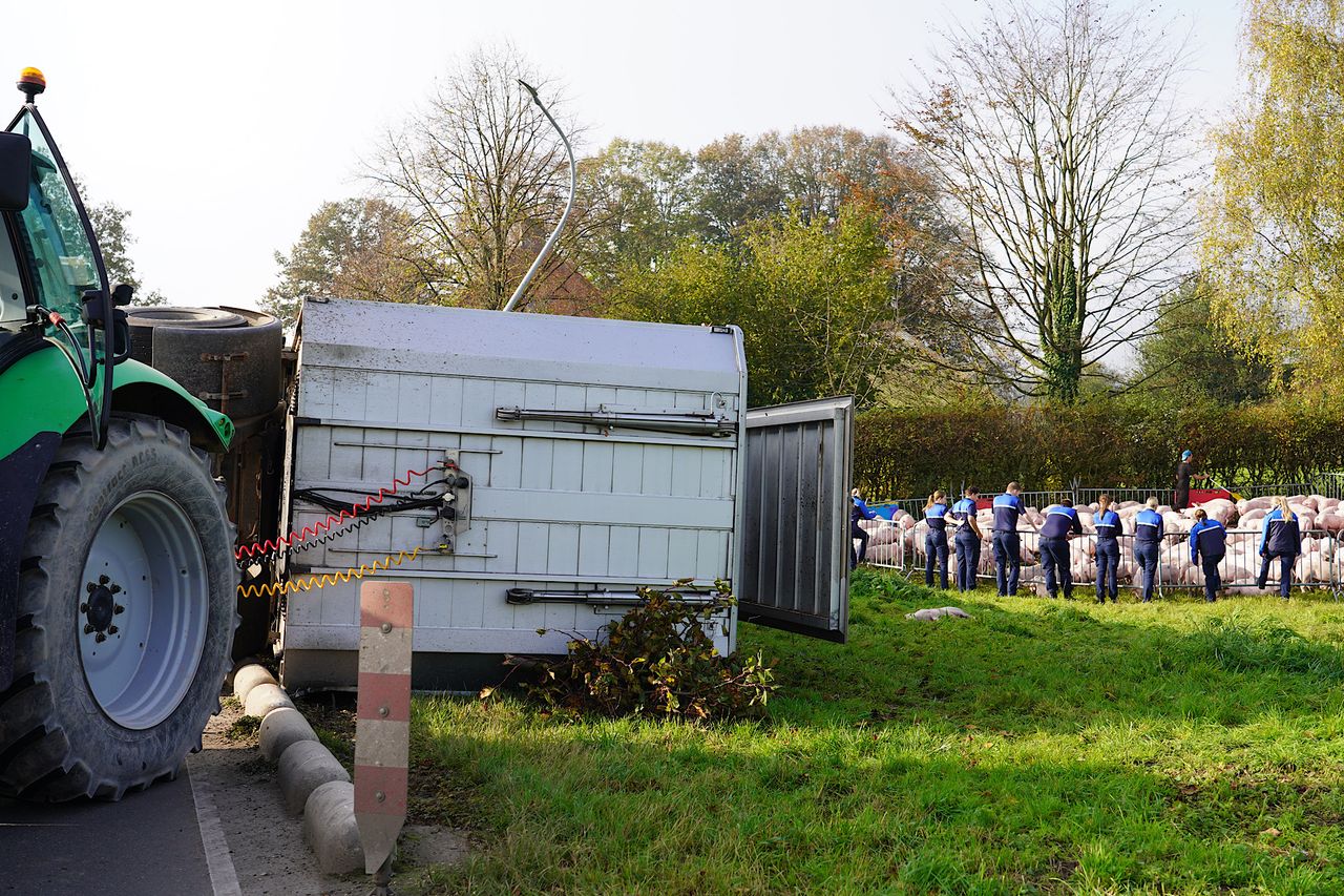 Foto: Jeroen Stuve/SQ Vision.