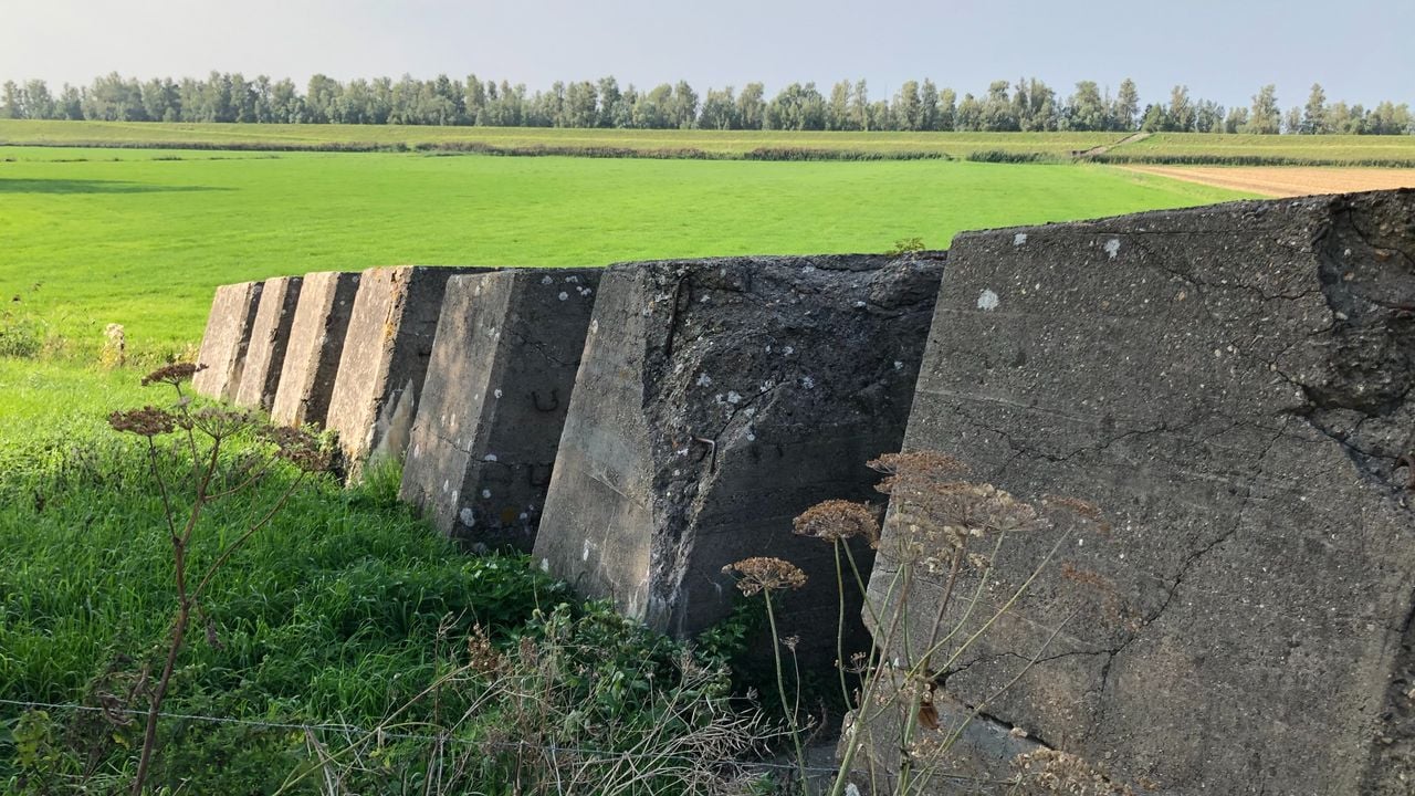 Betonblokken van Duitse versperring tussen Lage Zwaluwe en Moerdijk (foto: Willem-Jan Joachems)