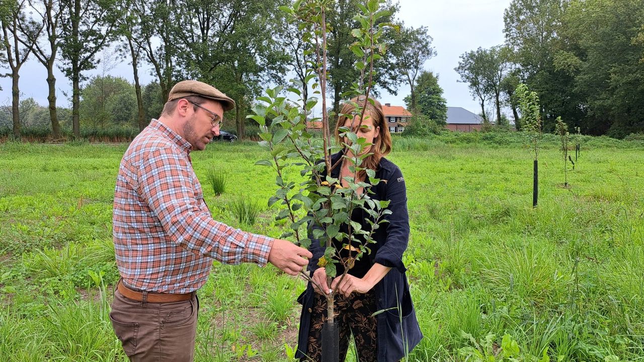 Neem een kijkje op de appelciderij van Linder en Thekla. 