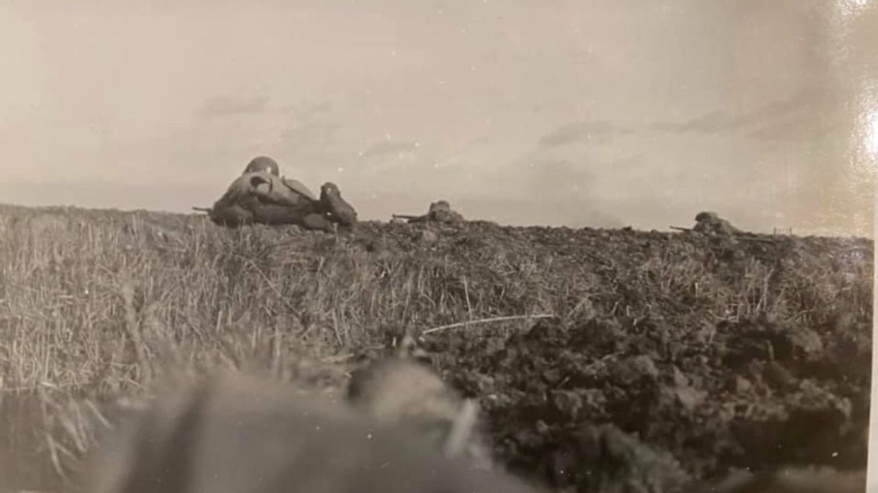 Timberwolves in de polder bij Standdaarbuiten (foto: archief NARA)