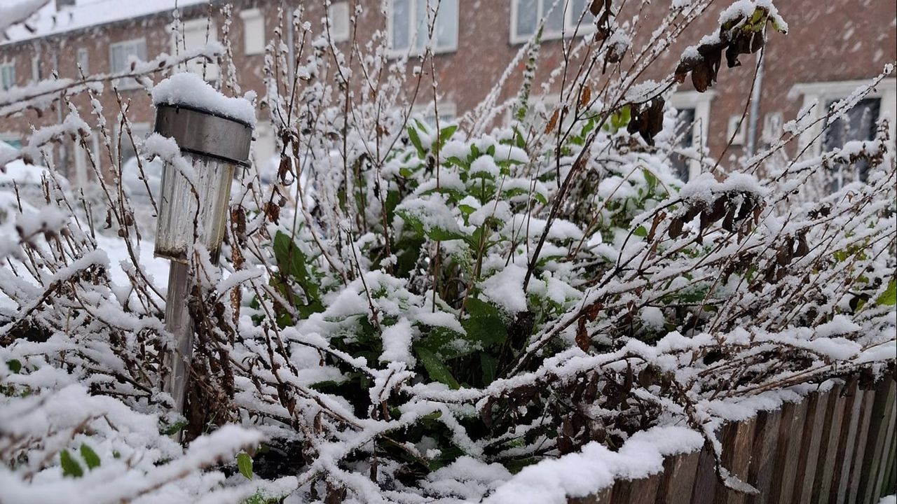 Foto: Bertina van Duijvenbode.