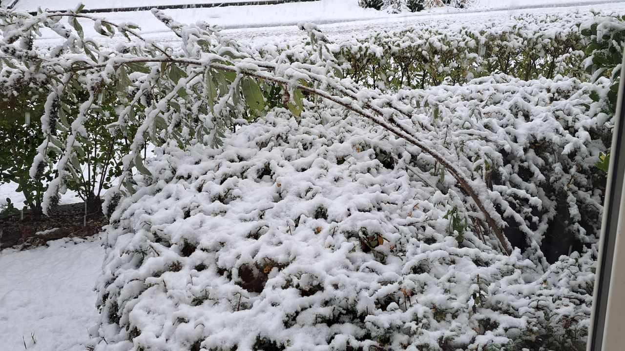Een flinke laag sneeuw in Goirle (foto: Ans Woestenberg).