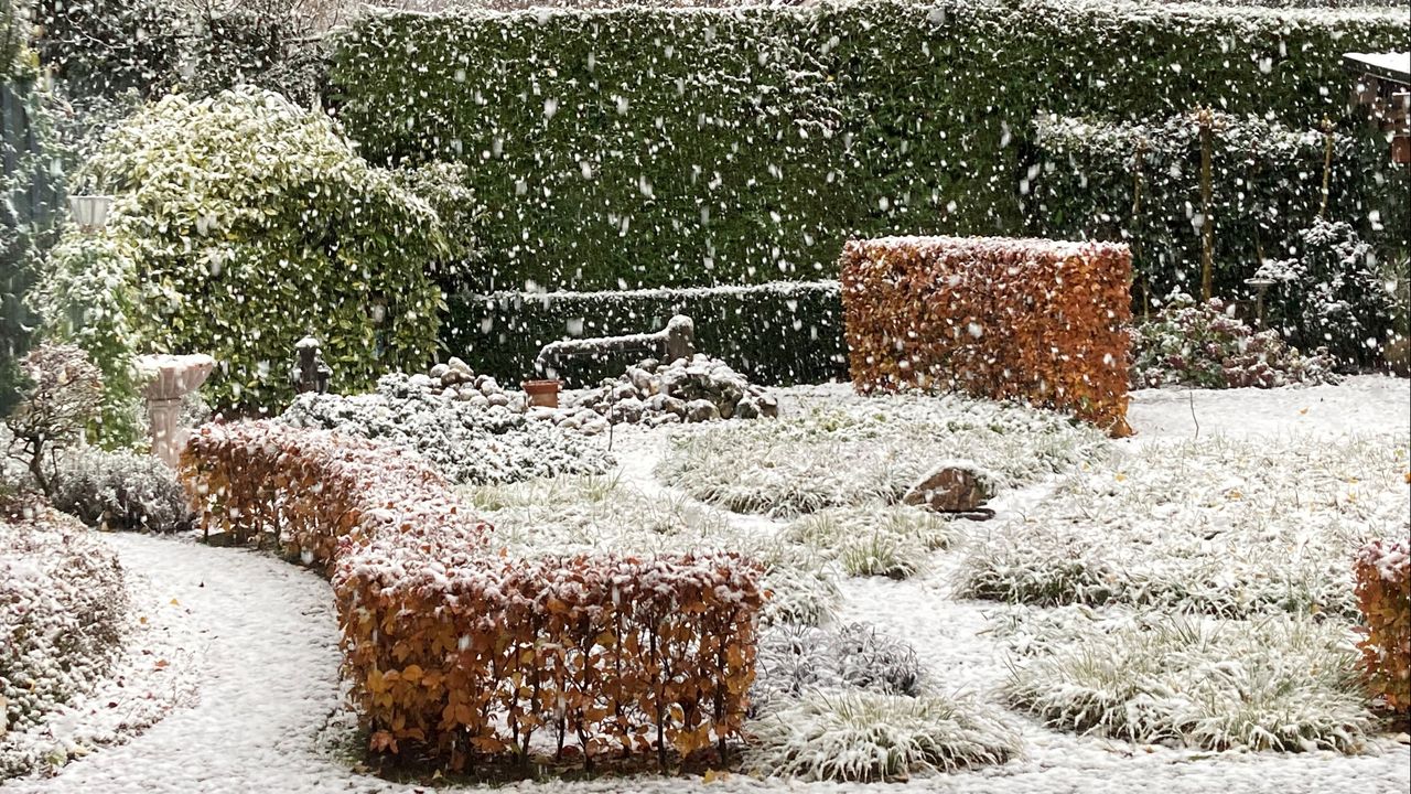 Een winterse foto uit Schaijk (foto: Jan Vloet).