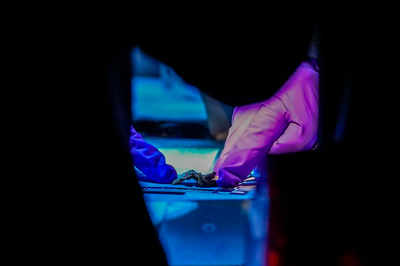 Foto: Gabor Heeres/SQ Vision Mediaprodukties